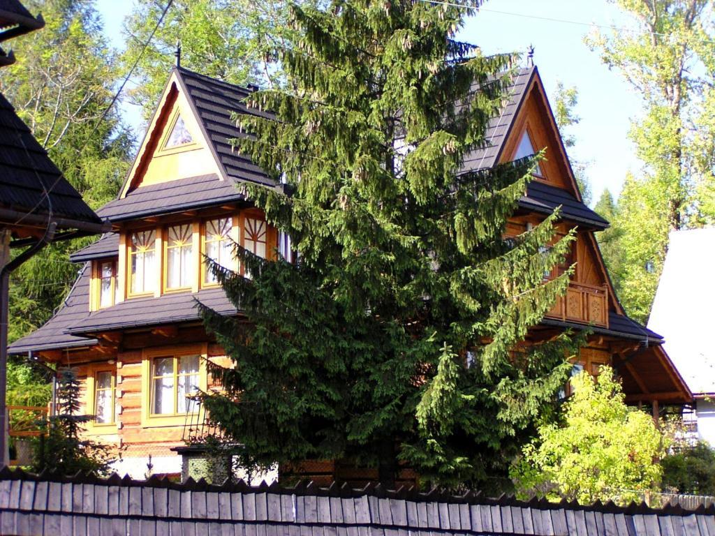Willa Olga Zakopane Esterno foto